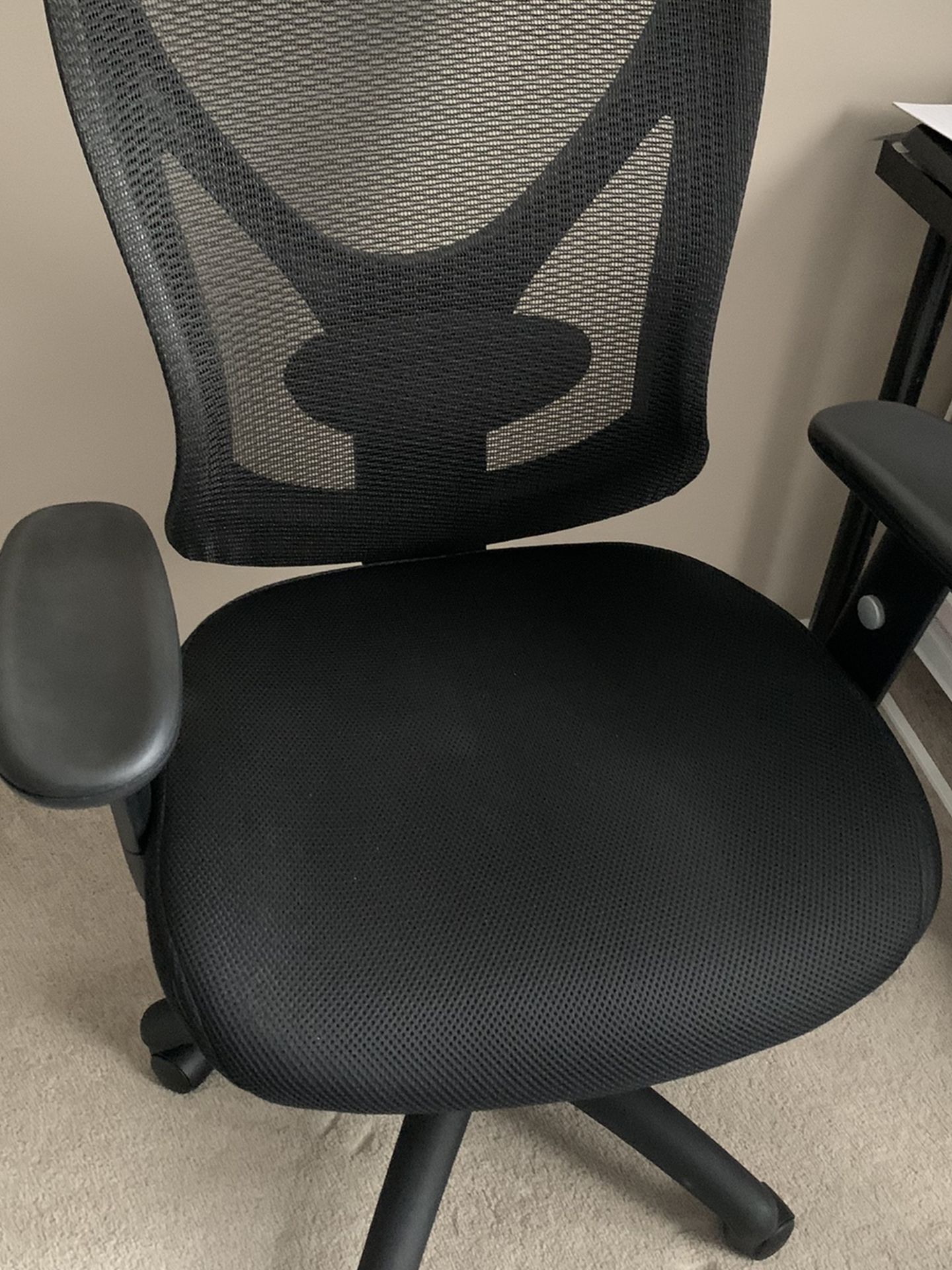 Ergonomic Office Chair