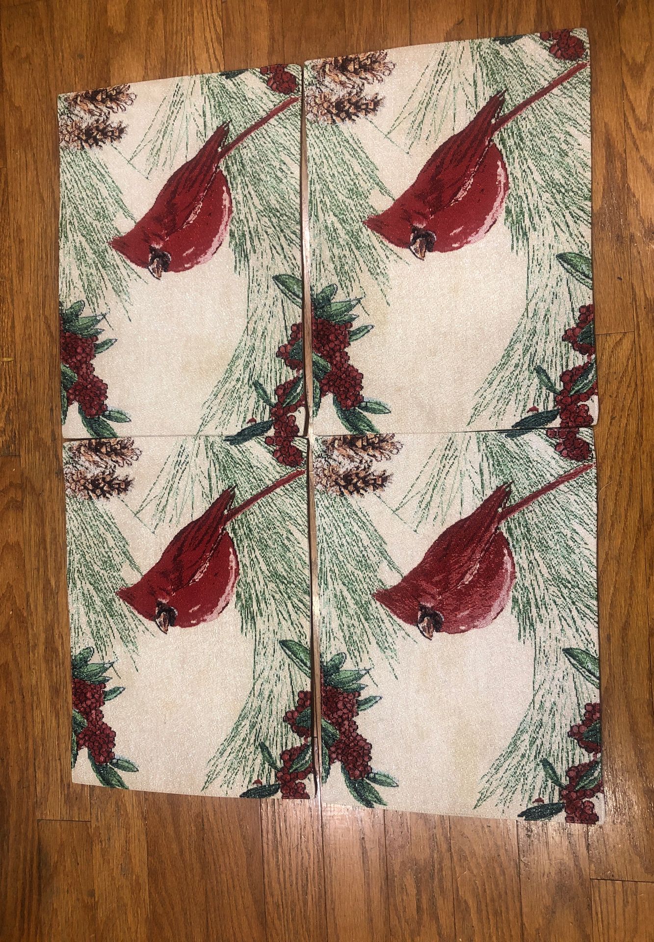 Winter cardinal placemats