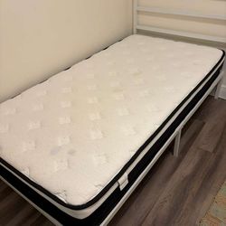 2x Twin Bed Frames and Coil Mattresses - 99 USD Each