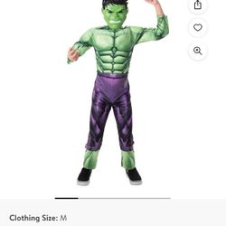 Hulk Costume