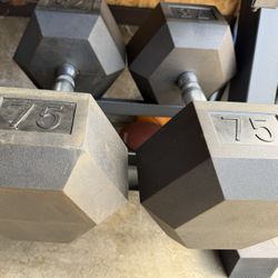 75lbs Dumbbells The Pair 