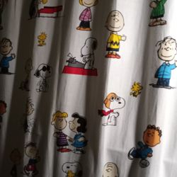 Shower Curtain 