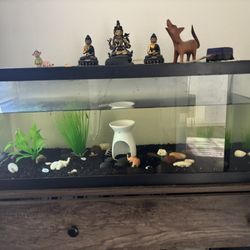 FISH TANK GLASS AQUARIUM All Included