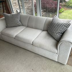 Pull Out Sofa Bed Couch FREE