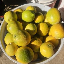 Limones Amarillos. Y  LIMAS   75c  Libra.  