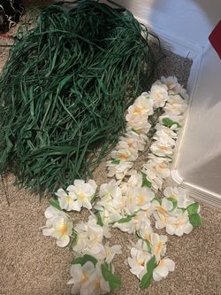 Hula Skirt And Leis 