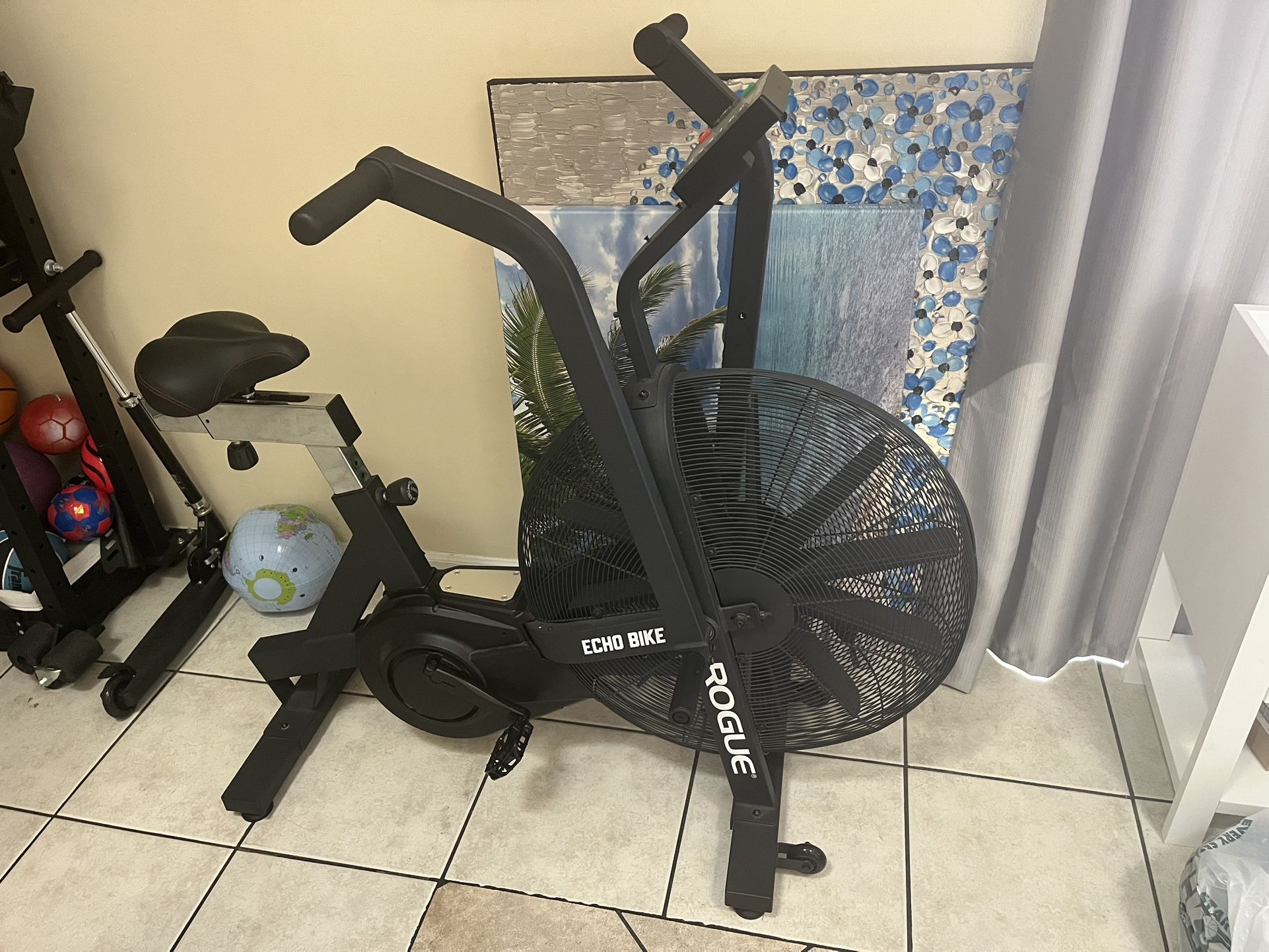 ROGUE ECHO BIKE 