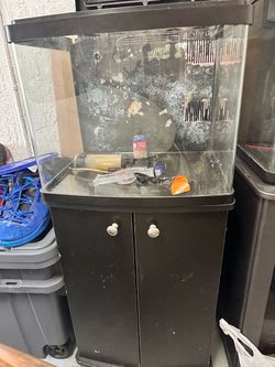 Biocube 29