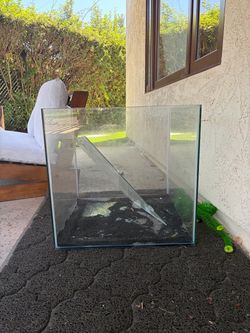 35 gallon frameless cube aquarium