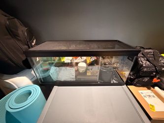 Reptile Tank