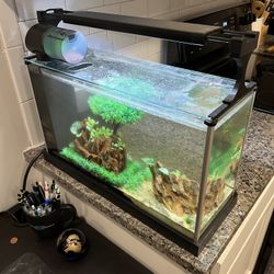 Fluval Spec V w/ Tons Of Extras