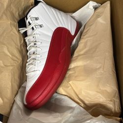 Air Jordan 12 Size 9.5