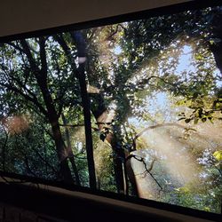LG OLED55C2PUA 55 Inch HDR 4K Smart OLED TV (2022)