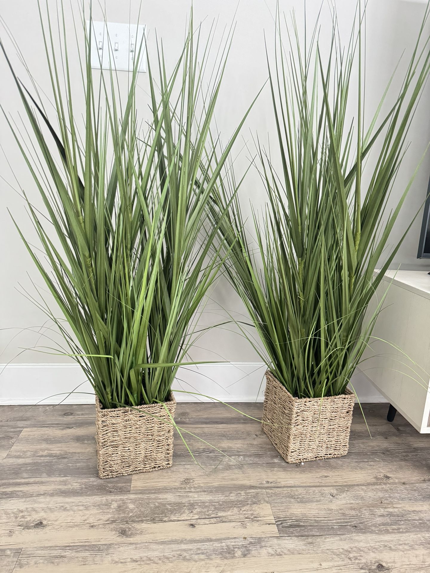 *FULL APARTMENT SELL* Two Medium Size Fake Plants