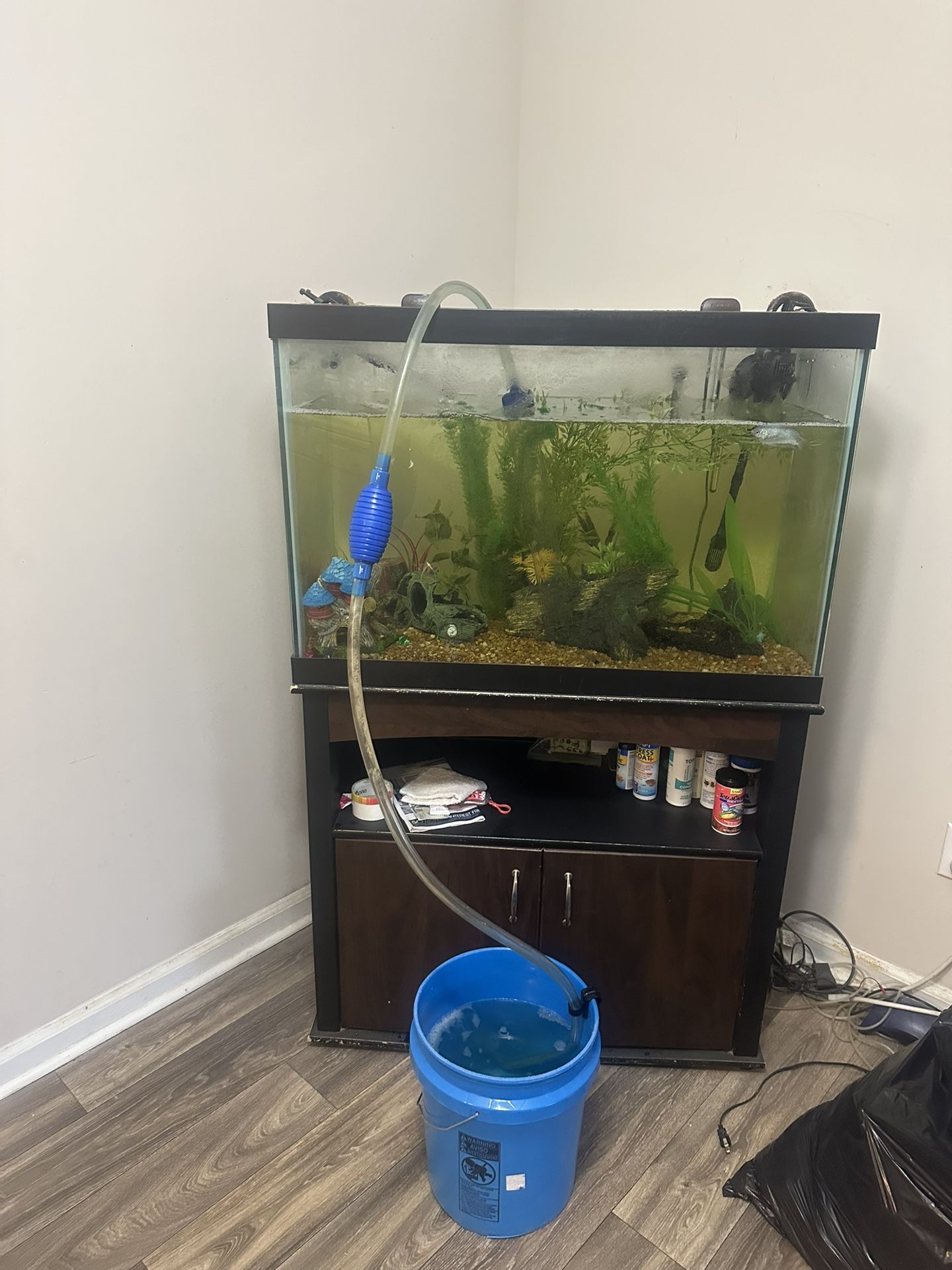 60 Gal Tank