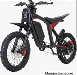 Electric  bike