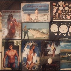 13 Vintage Unused Postcards Mainly Myrtle Beach Sc Nos
