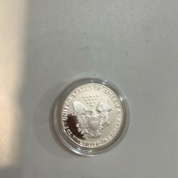 Silver Dollar