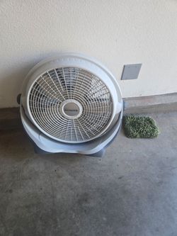 Fan
