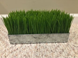 Pottery Barn Decorative grass