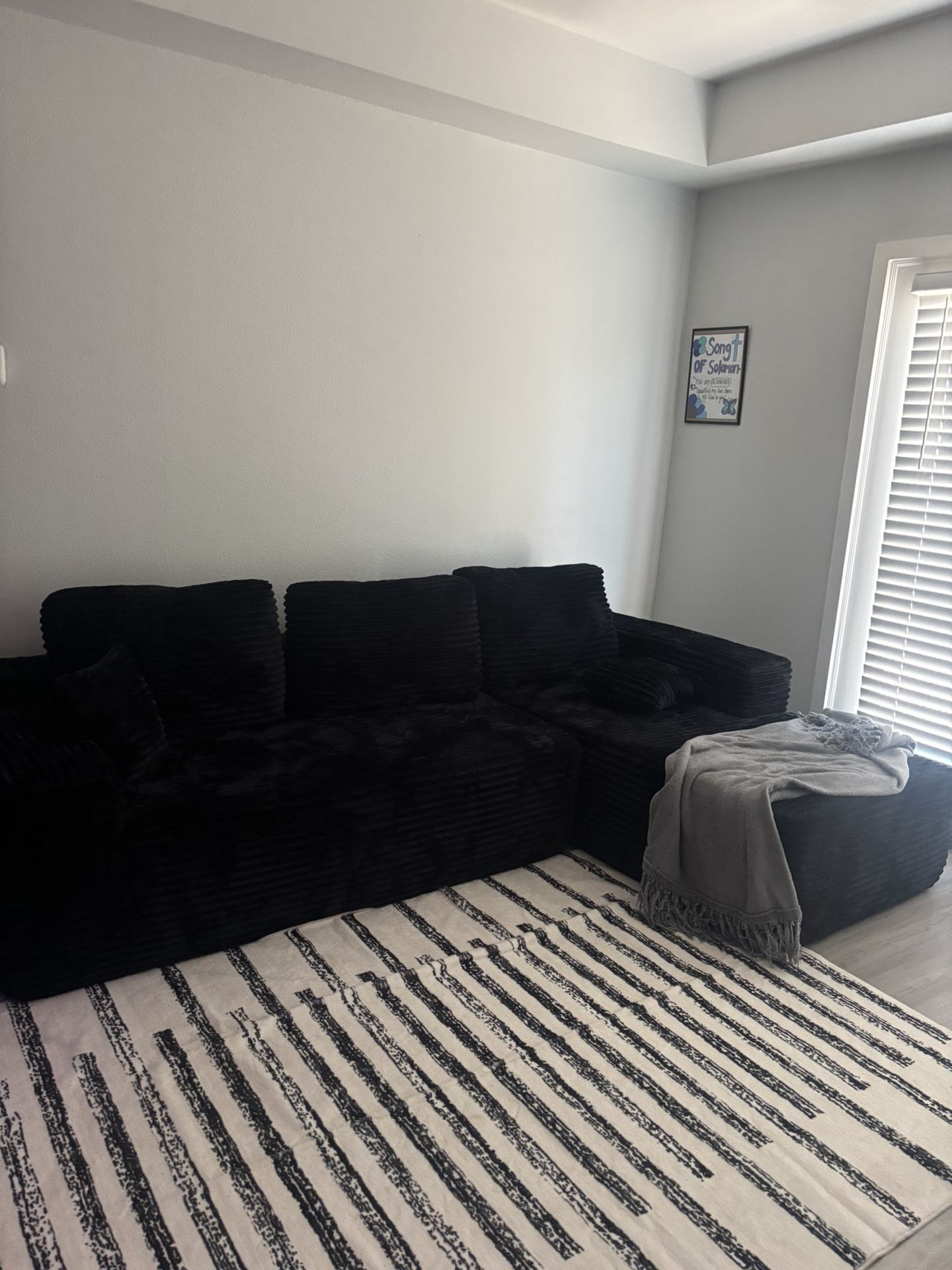 Barely Used Black Cloud Couch