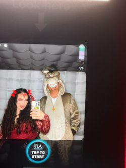 Shrek Donkey and Dragon couples costume
