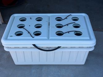 Hydroponics setup