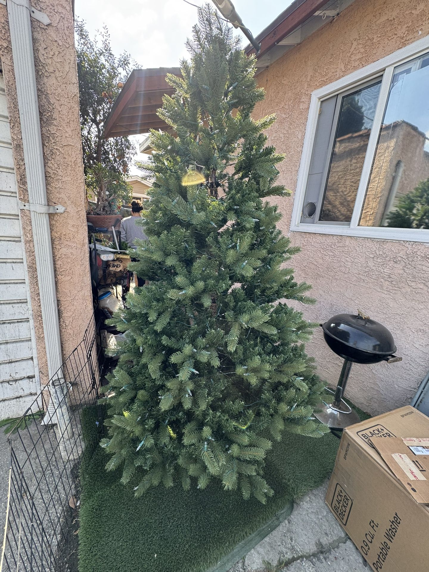 Christmas Tree Big