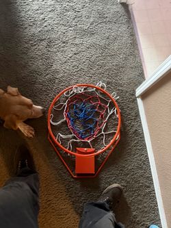 Basketball Hoop with Net