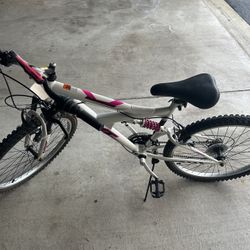 Next 24 Gauntlet Bike Shimano 18 Speed