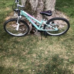 24” Schwinn Mountain Bike (hardly Used)