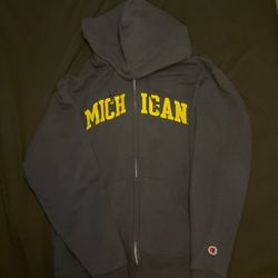Michigan State Sweater 