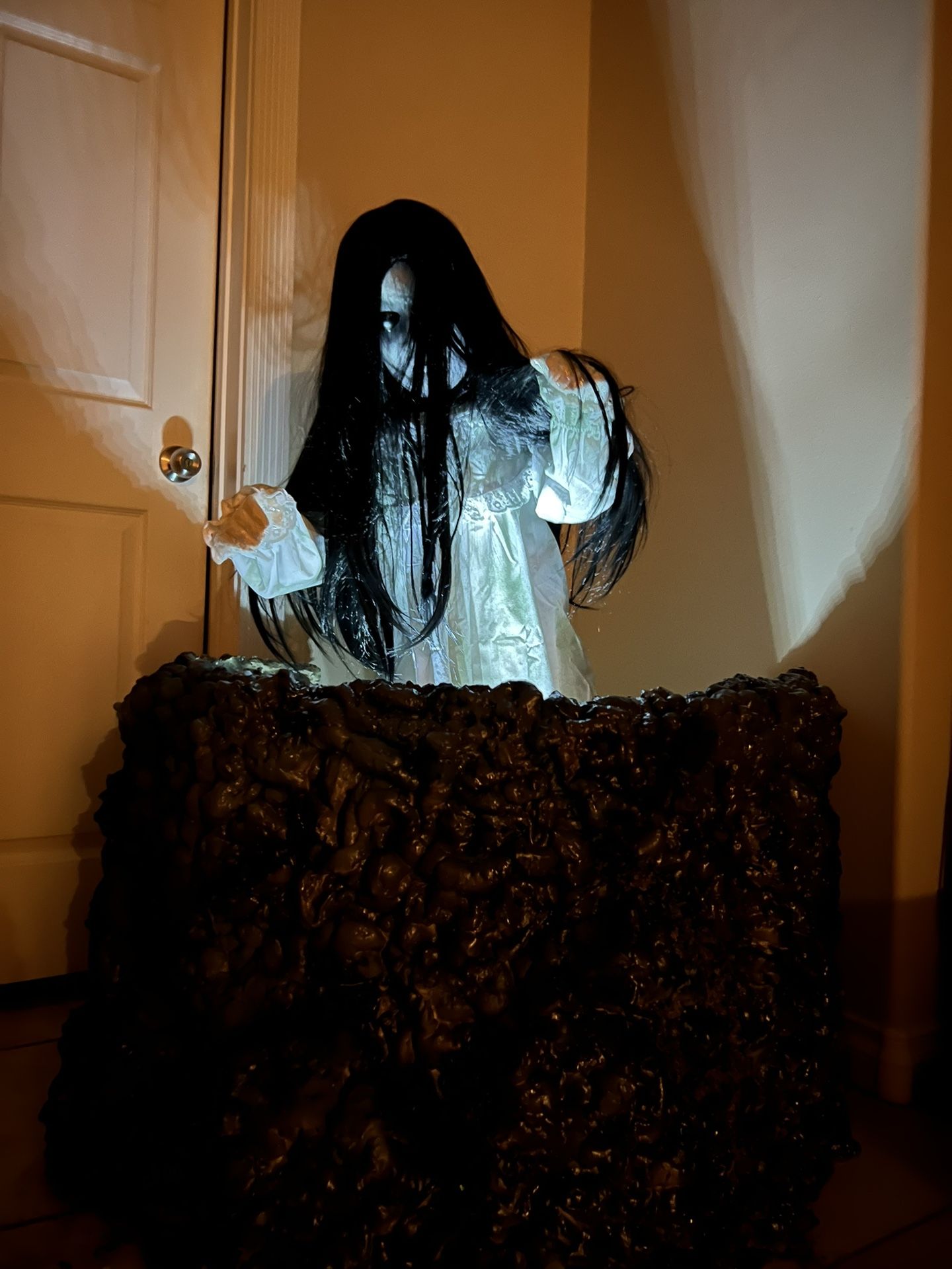 The Ring Samara And Well Halloween Prop