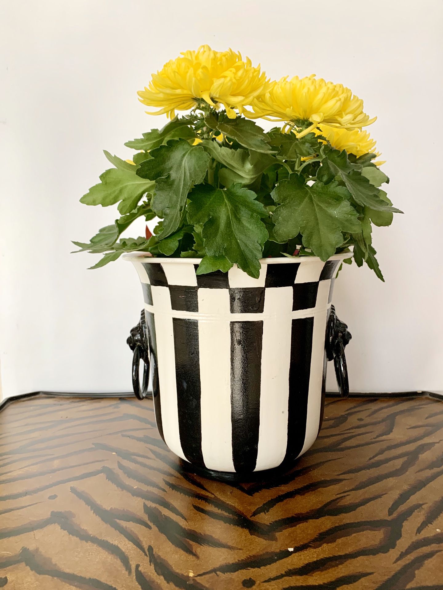 Courtly check black white striped hand painted metal planter bucket container lion handle rings art home decor