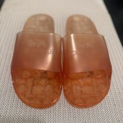 Coach Slides
