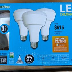 Sunrise LED Flood Lighting Bulbs 13-Watt (65-Watt Equivalent) BR30 warm white , 3-Bulbs