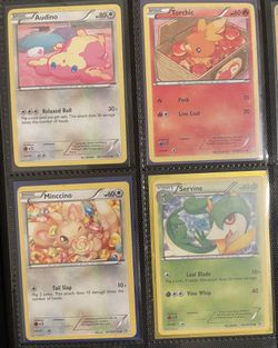 Pokemon Radiant Collection