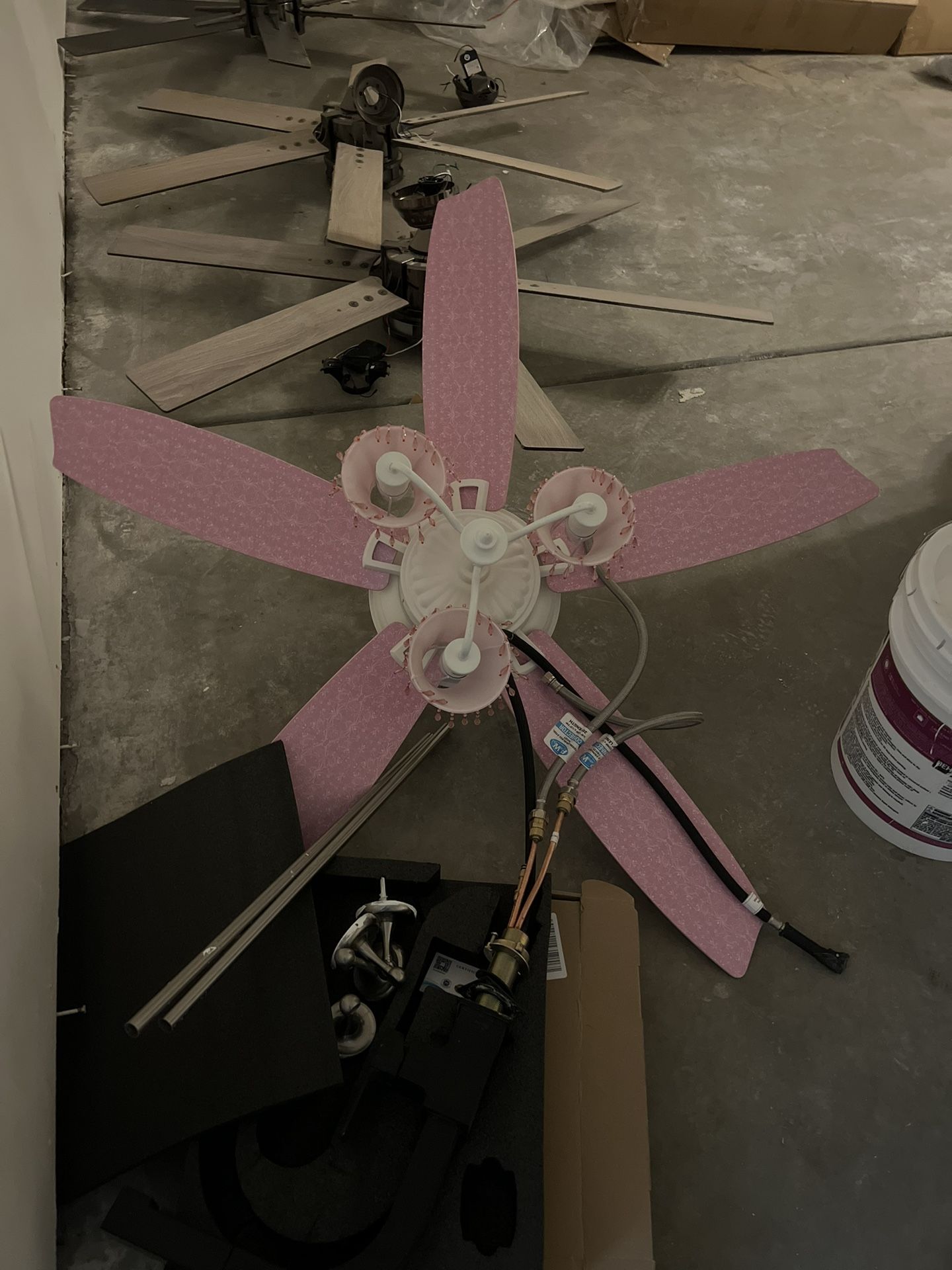 Girl Fan 