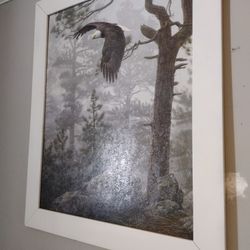 Eagle Framed Picture And Dreamcatcher Set