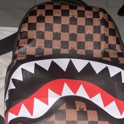 Spray Ground Backpack