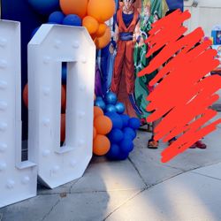 Dragon Ball Z Party Decor 
