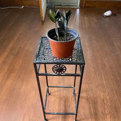 Plant Stand 