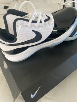 Nike Lebron Akron 330