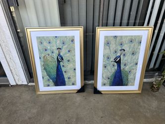Peacock Wall Art Framed
