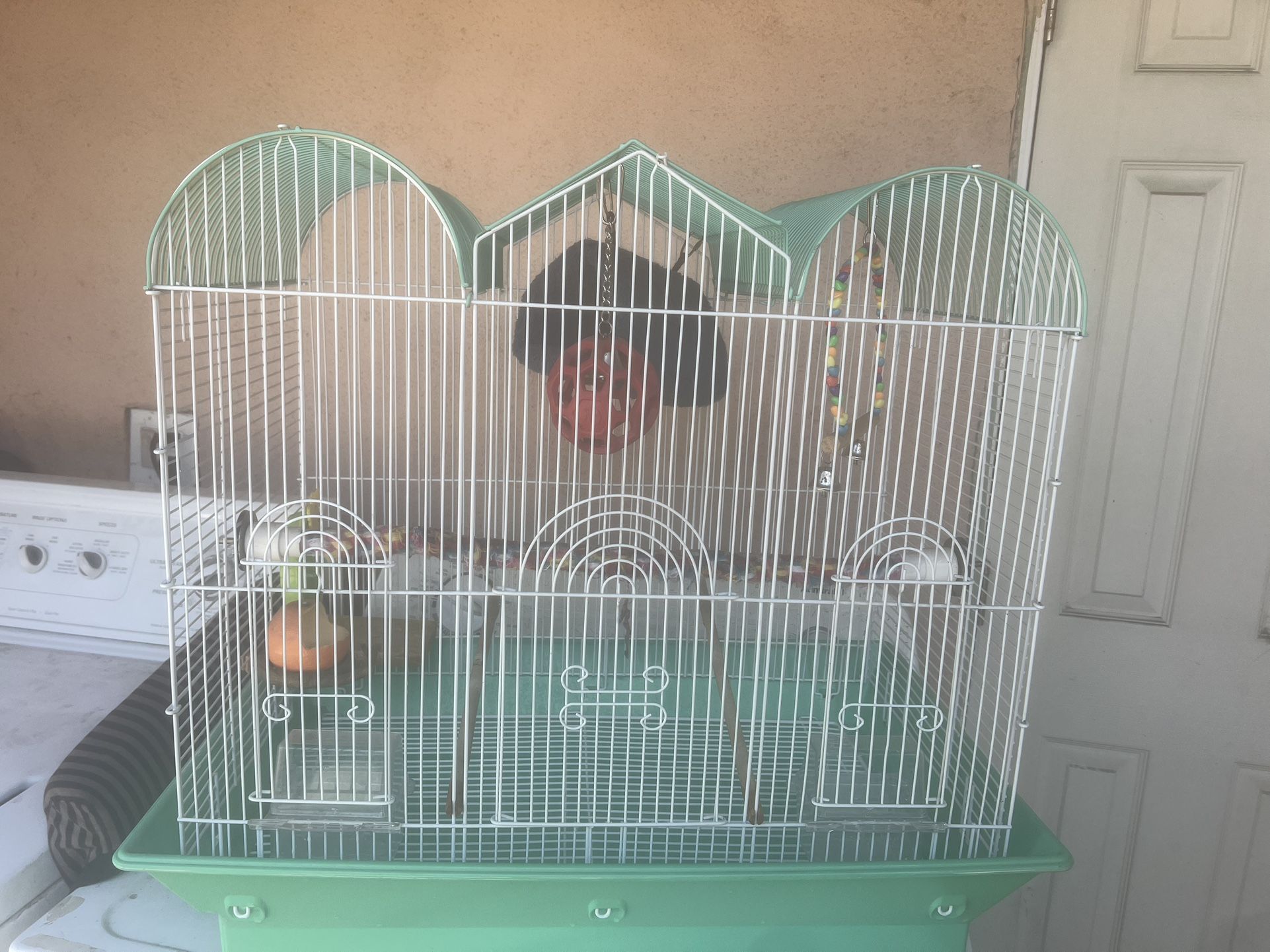 Bird Cage