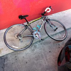 Specialized Dolce Elite 