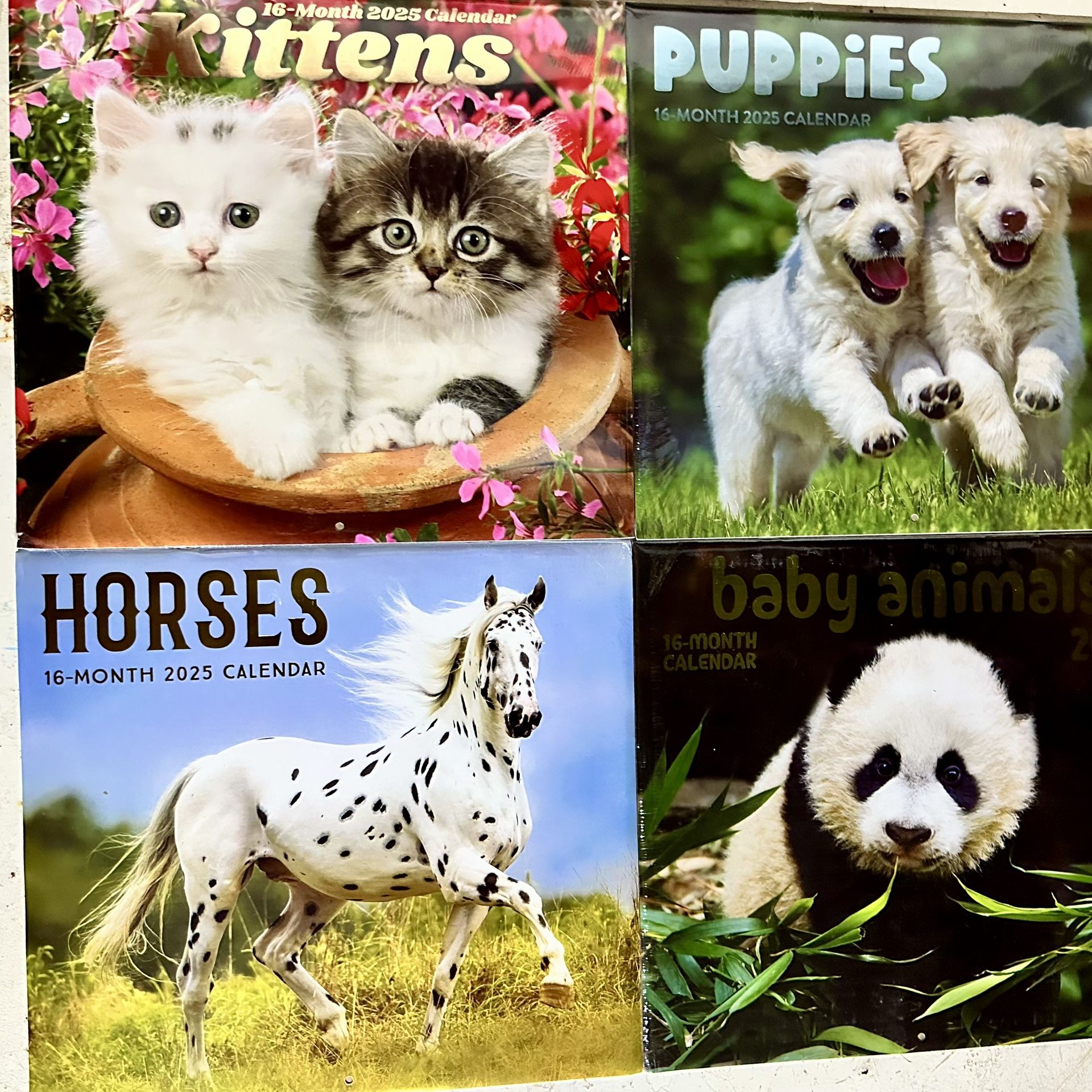 Adorable Animal 2025 Calendar Bundle – Kittens, Puppies, Horses & Baby Animals
