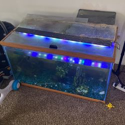 Aquarium