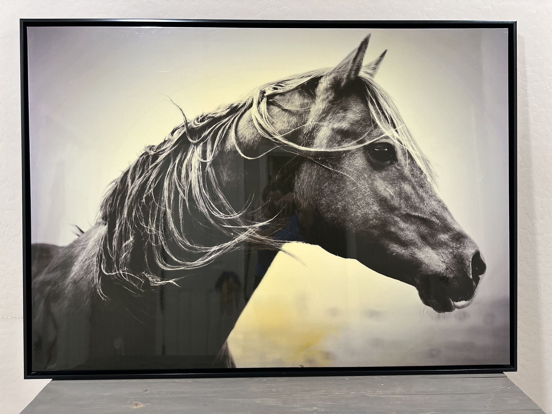 Horse Big Frame