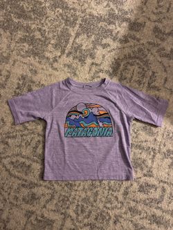 Patagonia capilene cool silk weight tshirt.  